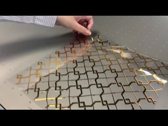 UV mesh belt machine printing transparent film for hot stamping